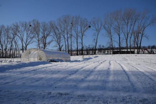 Unsere Felder im Winter