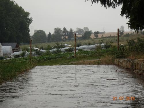 Endlich der ersehnte Regen