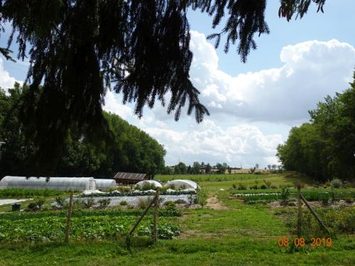 Impressionen
