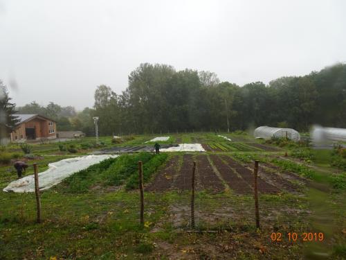 Regen