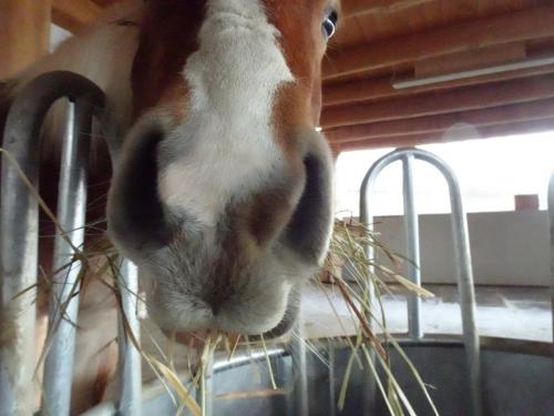 schmeckt ... guggst du ;-)