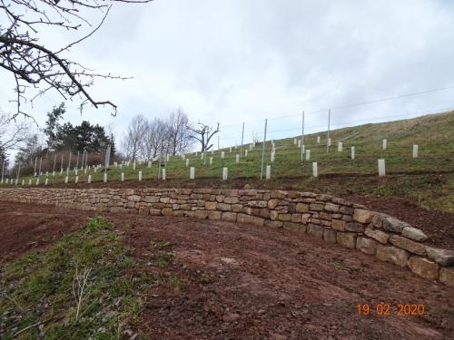 Die Weinberg-Mauer ist fertig