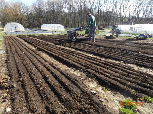 Bodenbearbeitung und Aussaat