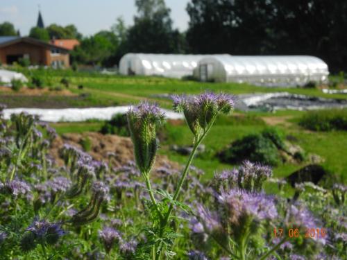 unsere neue Glucke
